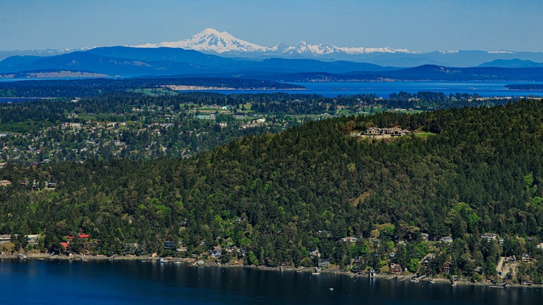 View from the Malahat Skywalk