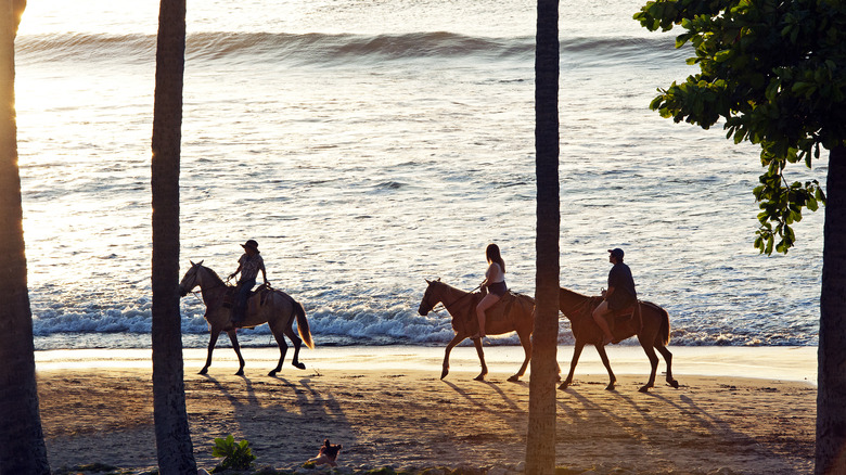 Horse riders on Tamarindo Beach
