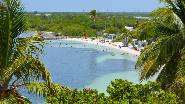 Beach and Palm Trees at Bahia Honda State Park