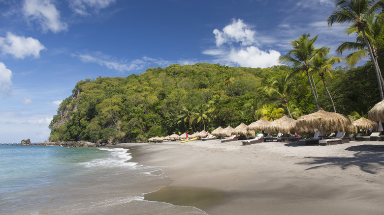 Tropical white sand beach