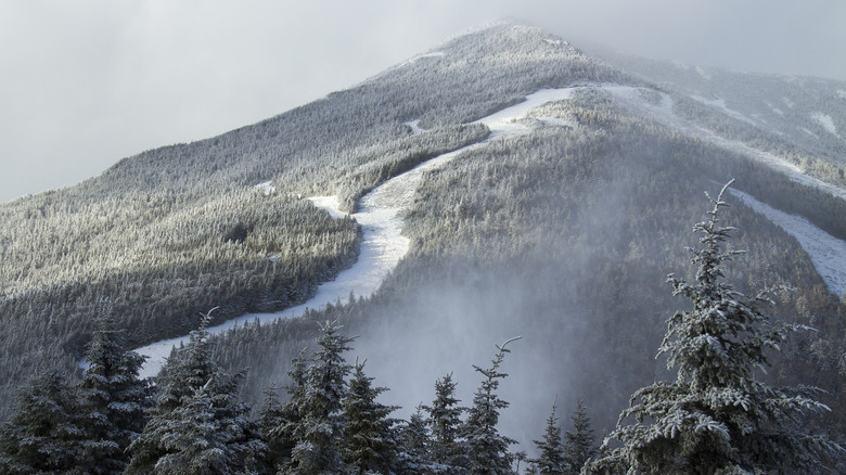 Panoramic view of Whiteface Mountain