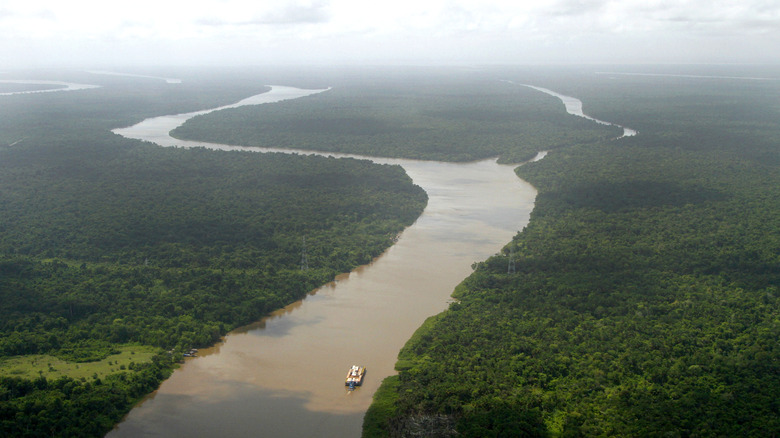 Aerial view of a boat on the Amazon River