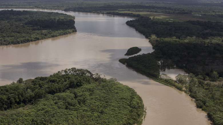 An aerial view of the Chiribiquete river surrounded by trees