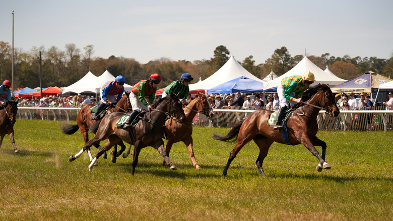 Horses racing in the Steeplechase event in Camden