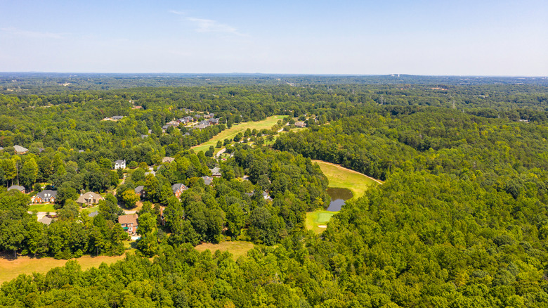 Travelers Rest surrounded by forest in South Carolina