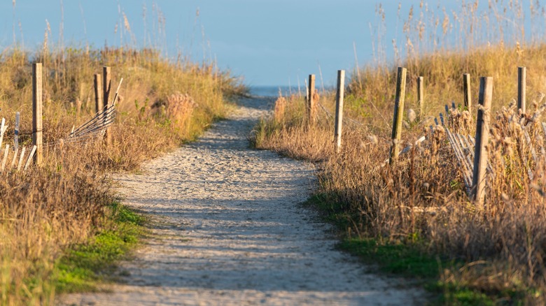 Pathway to a beach on the Isle of Palms