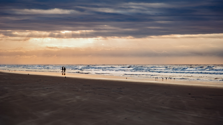 A couple on the beach