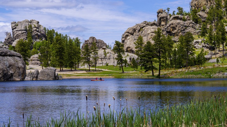 Lake in Black Hills surrounded by pine forest