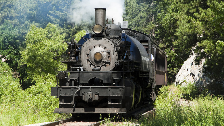 Tourist steam strain in forested area of Black Hills South Dakota