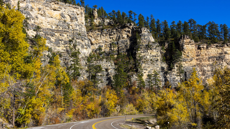 A road winding through Spearfish Canyon