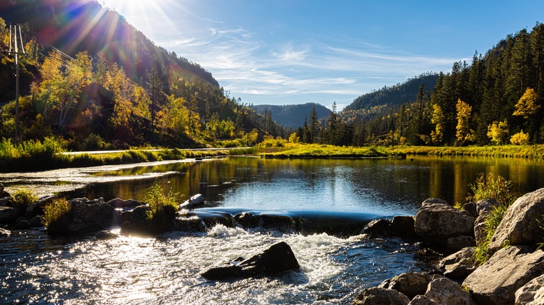 A stream in Speearfish Canyon Nature Area