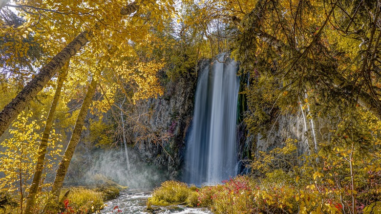 A waterfall in Spearfish Canyon surrounded by fall foliage