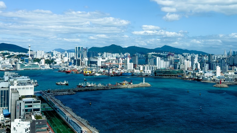 Aerial view of Busan's coastline