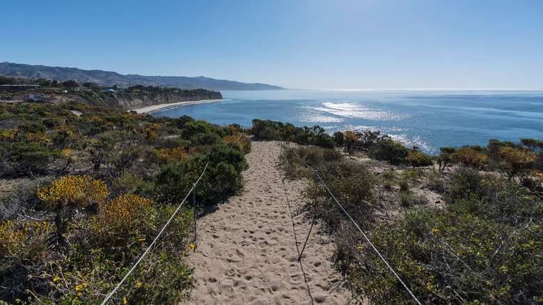 trail at Point Dume