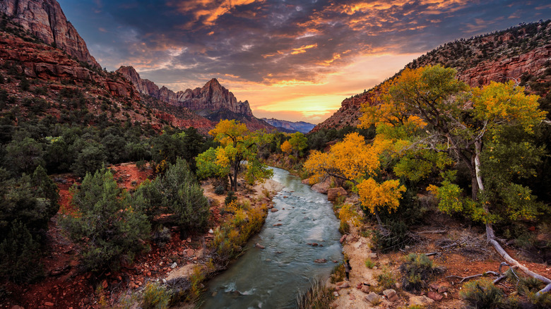 A sunset picture at Zion National Park, Utah