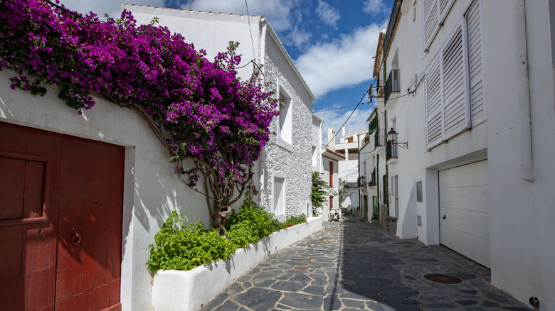 A narrow street in Cadaqués