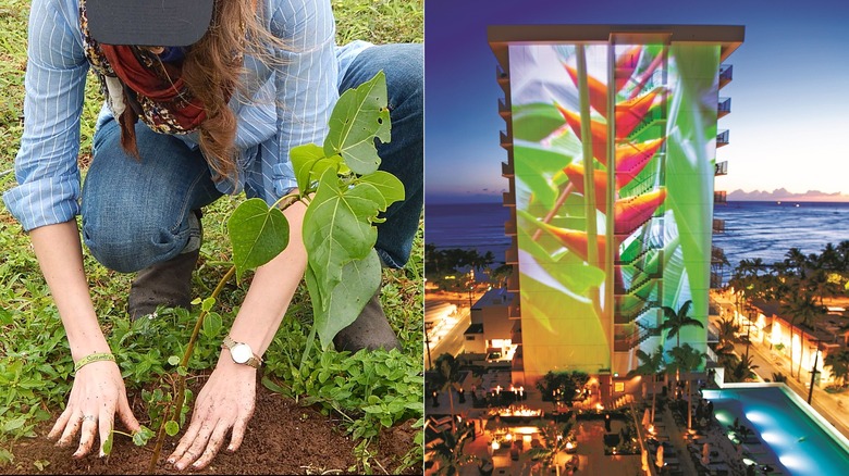 Tree planting and art series light monument 'Alohilani Resort