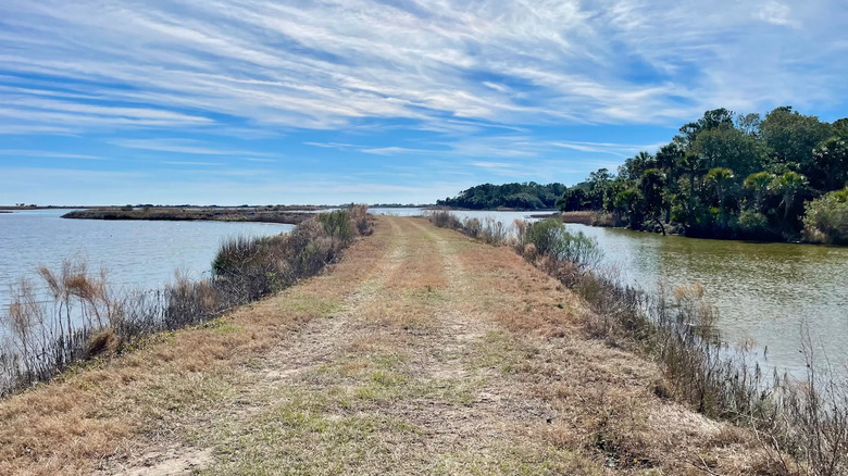 train through marsh in Cape Romain National Wildlife