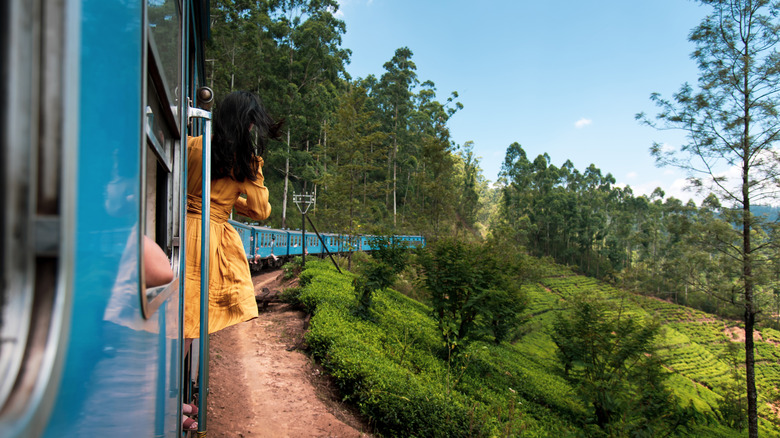 Tourist on a train through Sri Lanka's tea plantations