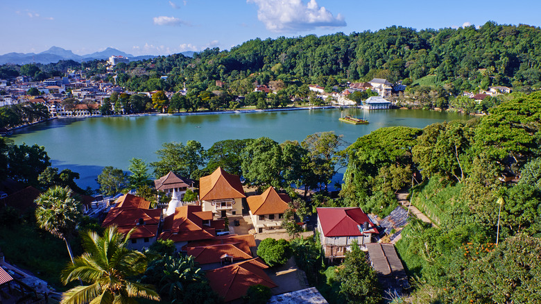 Aerial view of buildings and jungle found within Kandy, Sri Lanka