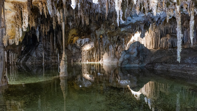 Lehman Caves stalactites reflected in pool of water