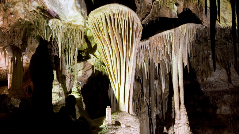 Parachute Shield formations in the Lehman Caves