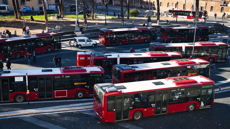 Multiple red buses at bus stop in Rome