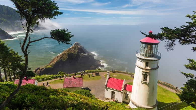 Heceta Head Lighthouse Trail view