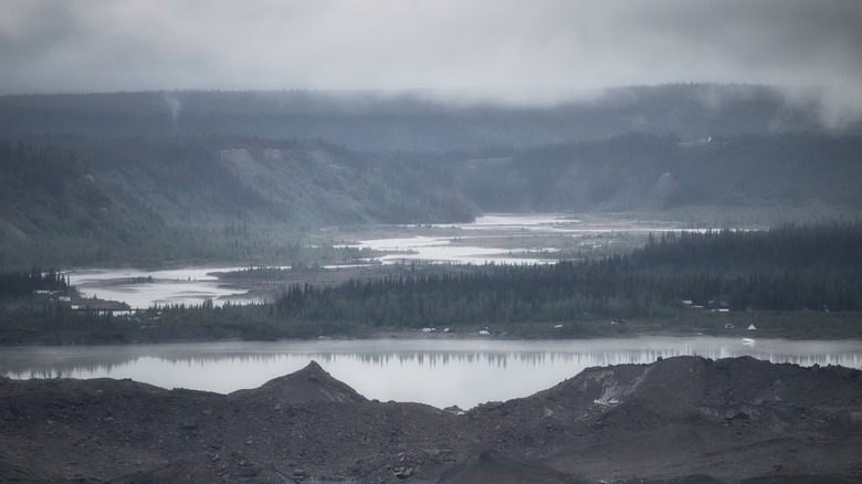 misty forest lake Wrangell-St. Elias