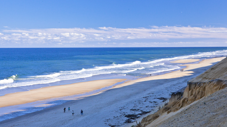 Shoreline view of the Cape Cod National Seashore