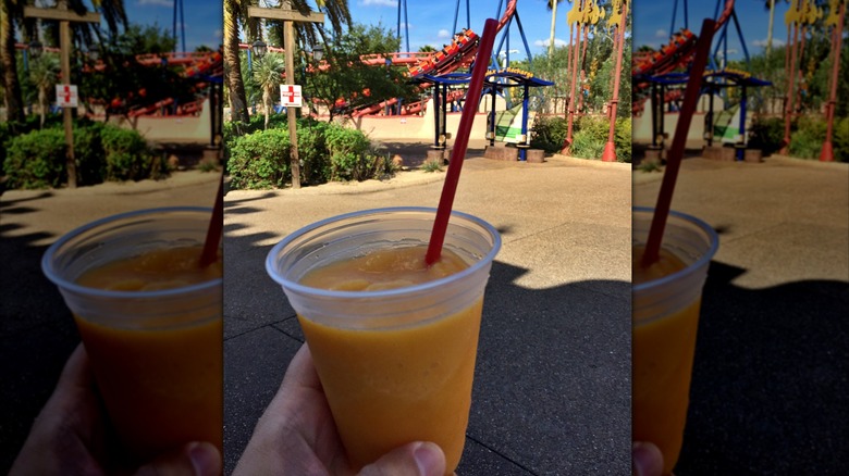 A person holding a drink with a red straw at Busch Gardens, Tampa.