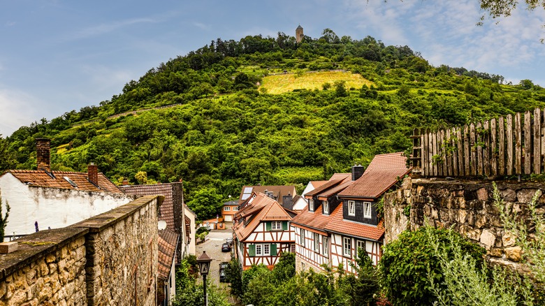 Town and hill in Heppenheim