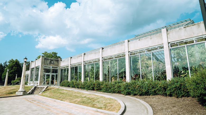 Garfield Park Conservatory filled with tropical plants in Indianapolis, Indiana