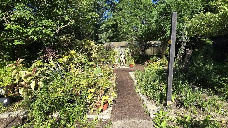 Beautiful garden scene with a statue