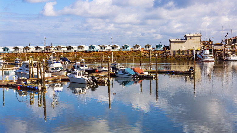 boats docked in a marina