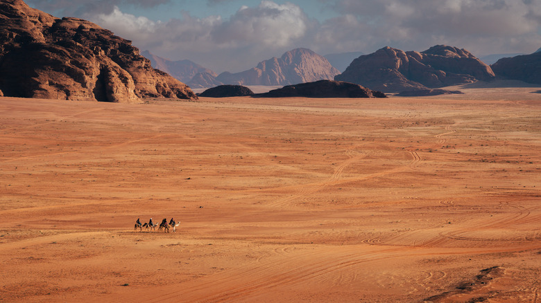 Camel tour in Wadi Rum Protected Area