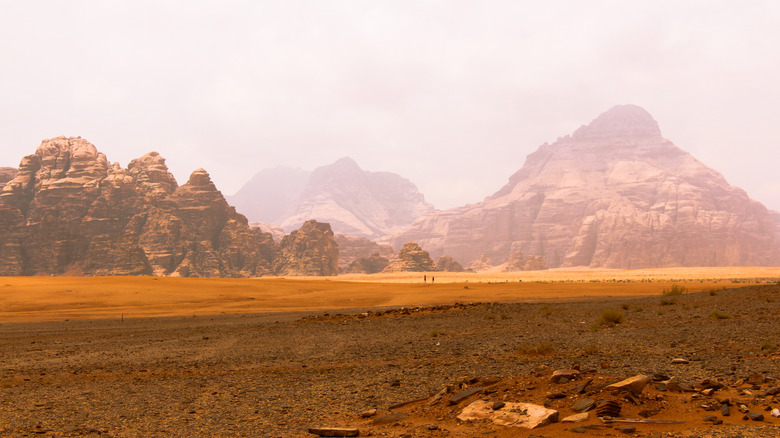 Desert landscape in Wadi Rum Protected Area