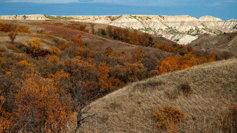 View of Theodore Roosevelt National Park in autumn