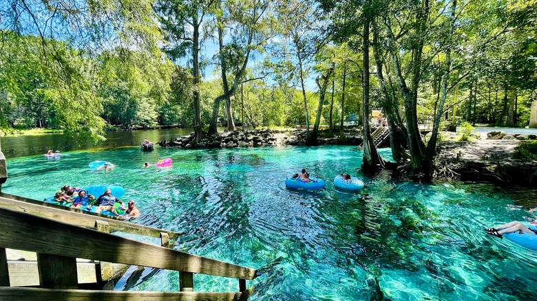 Natural springs in Florida