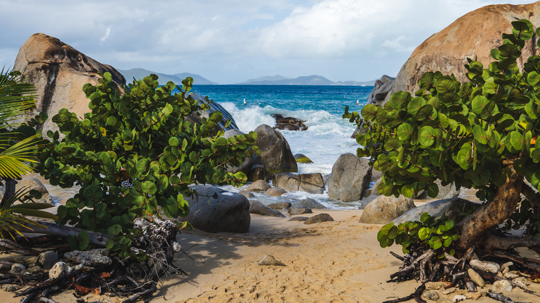 Trail to The Baths