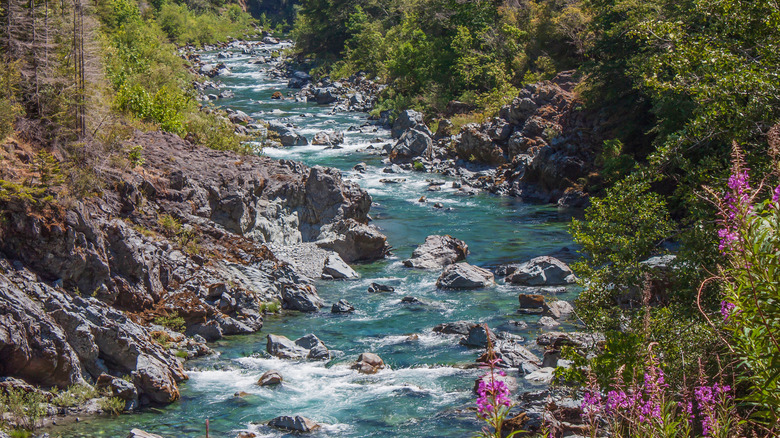 Smith River in Spring