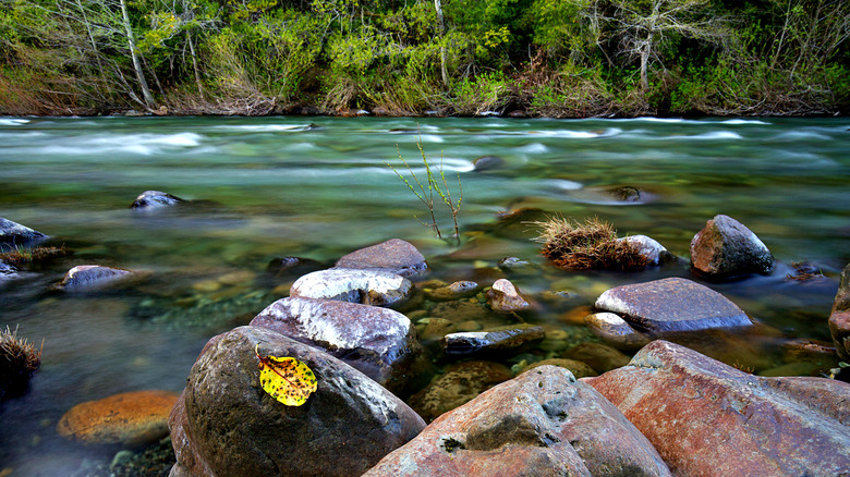 Fast-flowing water in Smith River