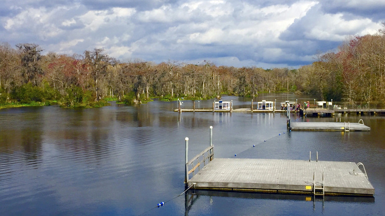 Swimming platforms at Edward Ball Wakulla Springs State Park