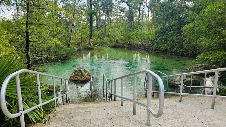 The stairs down to the water in Williford Spring, Florida