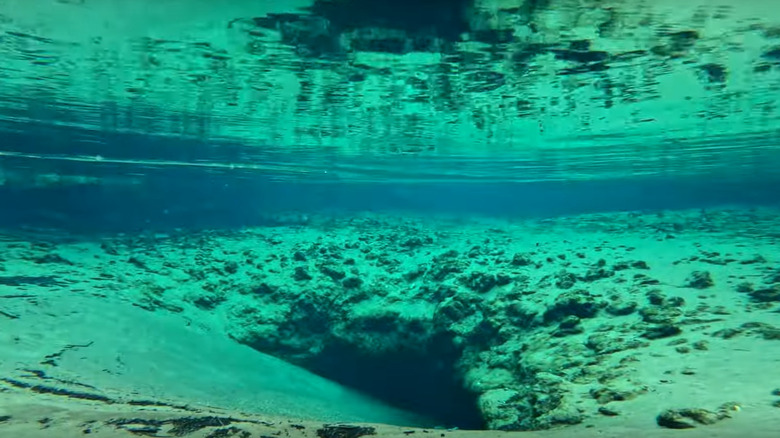 A look under the water at the spring vent at Williford Spring in Florida