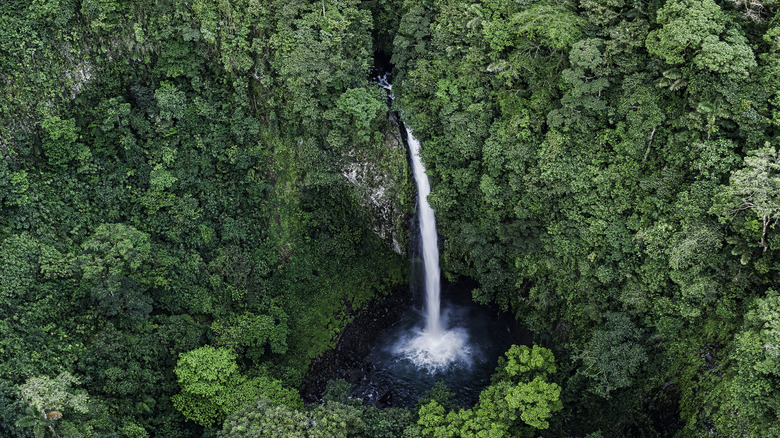 La Fortuna waterfall in a Costa Rica jungle