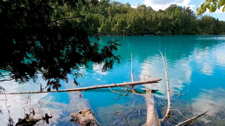 Turquoise lake with driftwood in foreground 