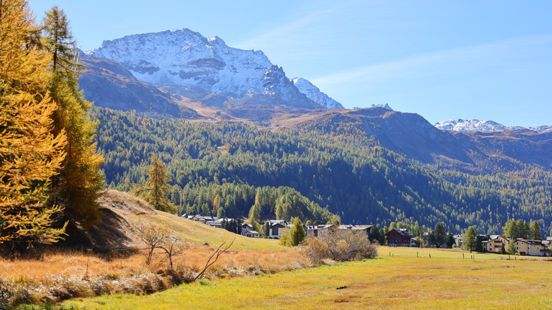 Part of the Swiss National Park in the Western Rhaetian Alps.