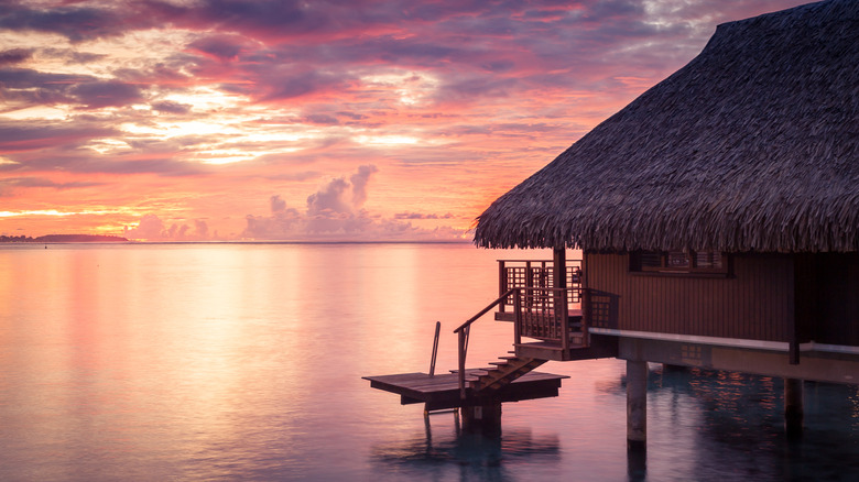 Overwater bungalows in Moorea, French Polynesia, overlooking the ocean