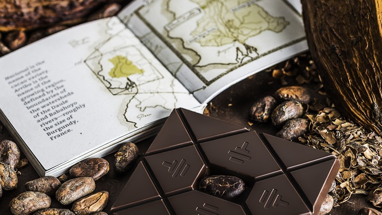 To'ak chocolate bar with an informational booklet, cacao beans, and a cacao pod in the background